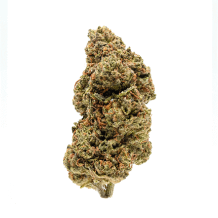 Apple Fritterz HHC Flower