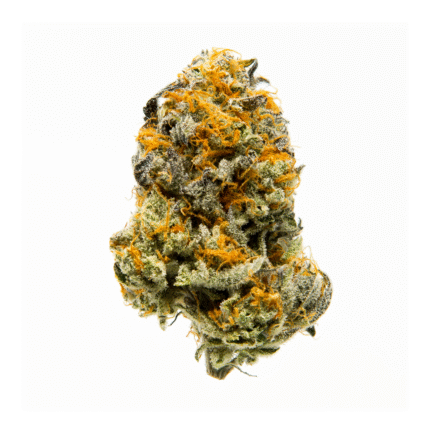Divine Jelly HHC Flower
